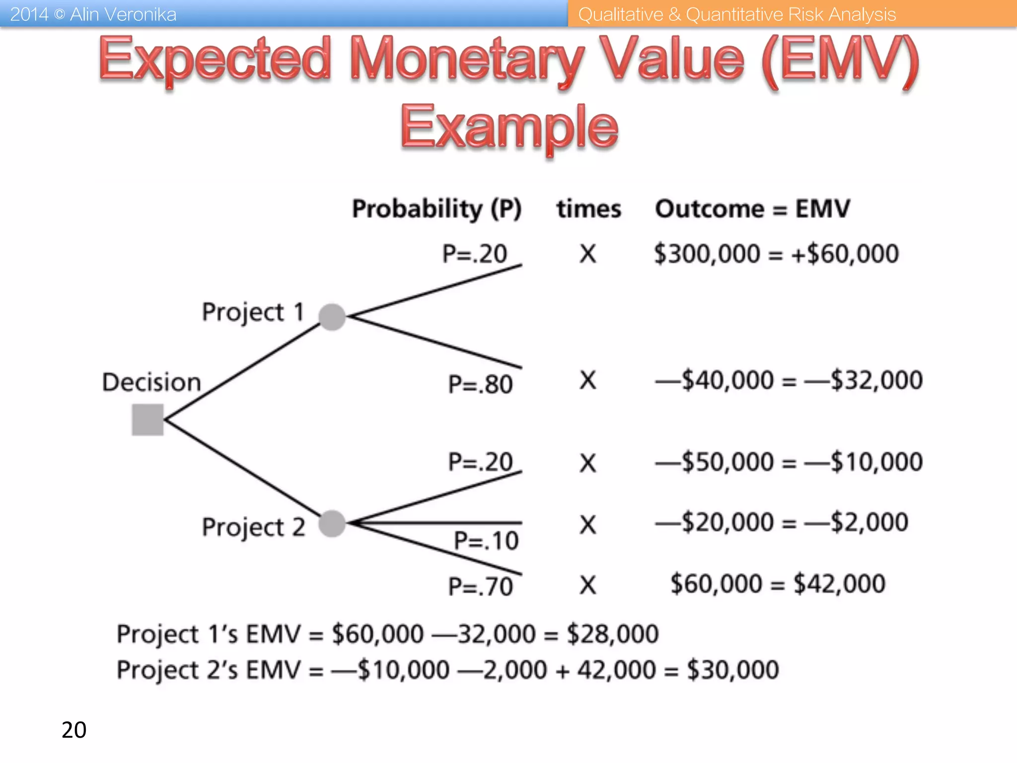 2014 © Alin Veronika Qualitative & Quantitative Risk Analysis
20	
  
 