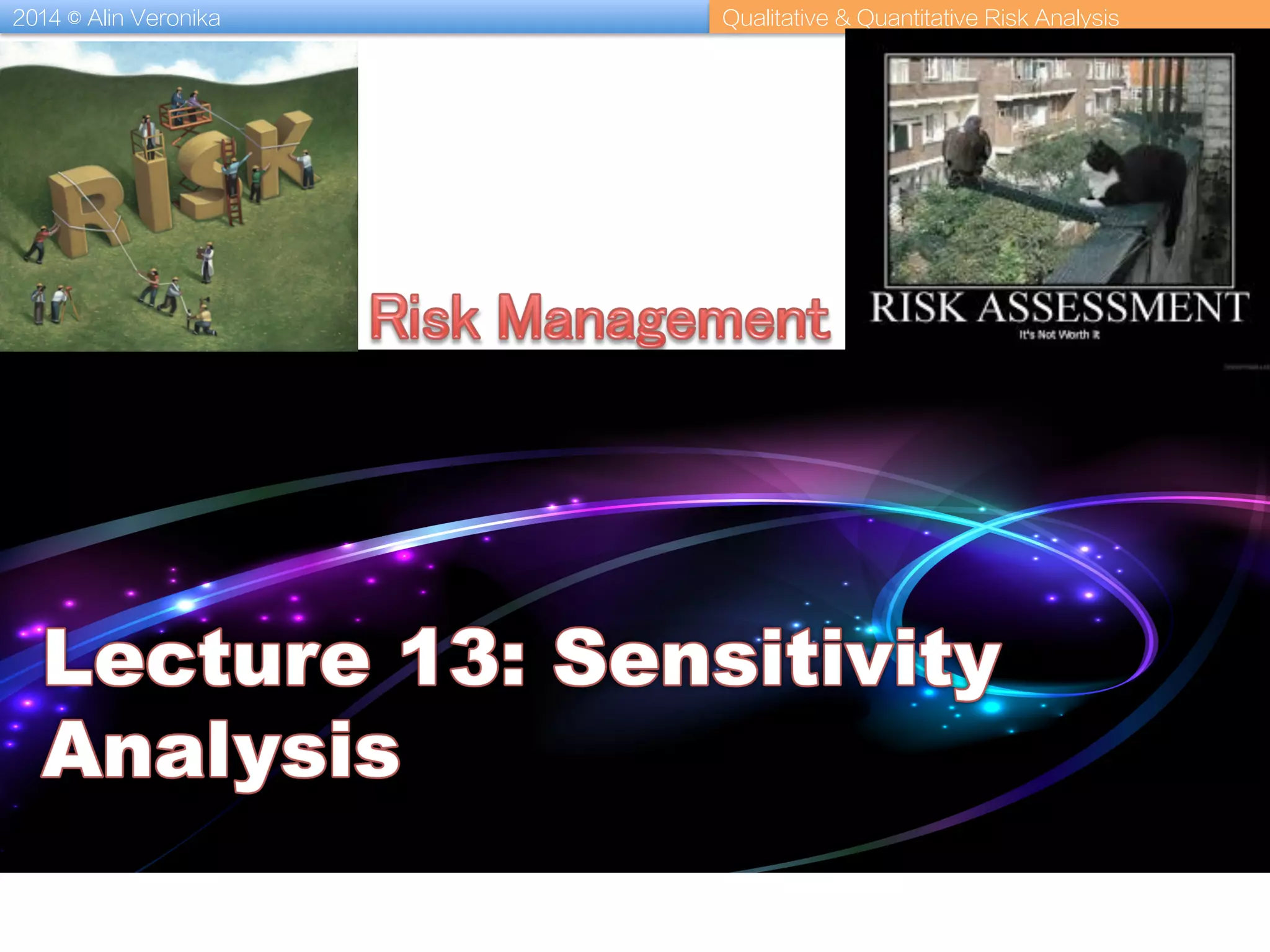 2014 © Alin Veronika Qualitative & Quantitative Risk Analysis
 