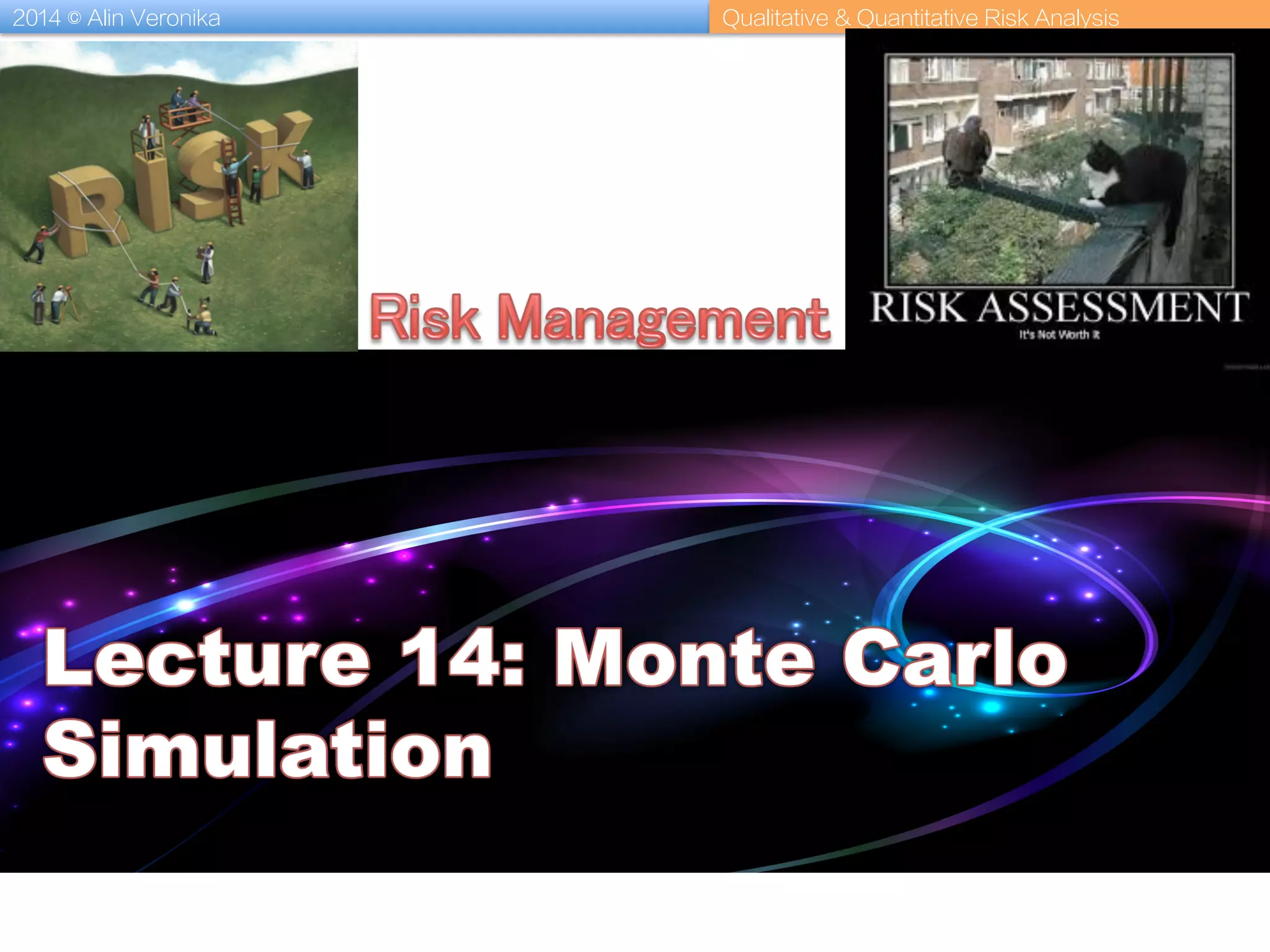 2014 © Alin Veronika Qualitative & Quantitative Risk Analysis
 