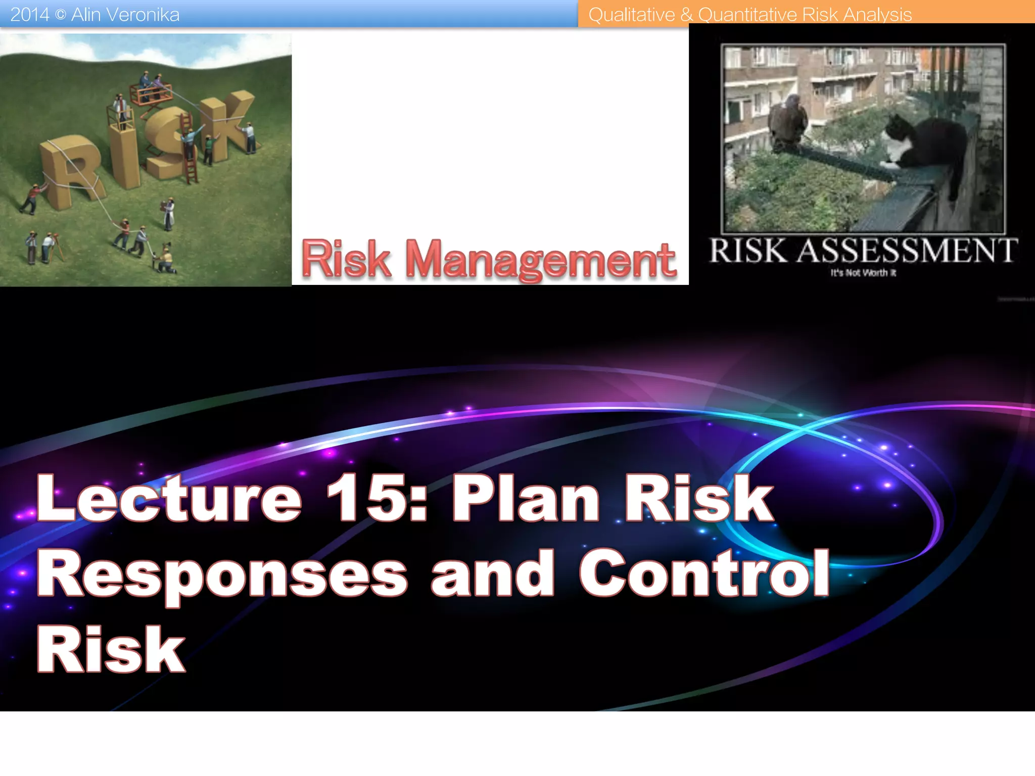 2014 © Alin Veronika Qualitative & Quantitative Risk Analysis
 