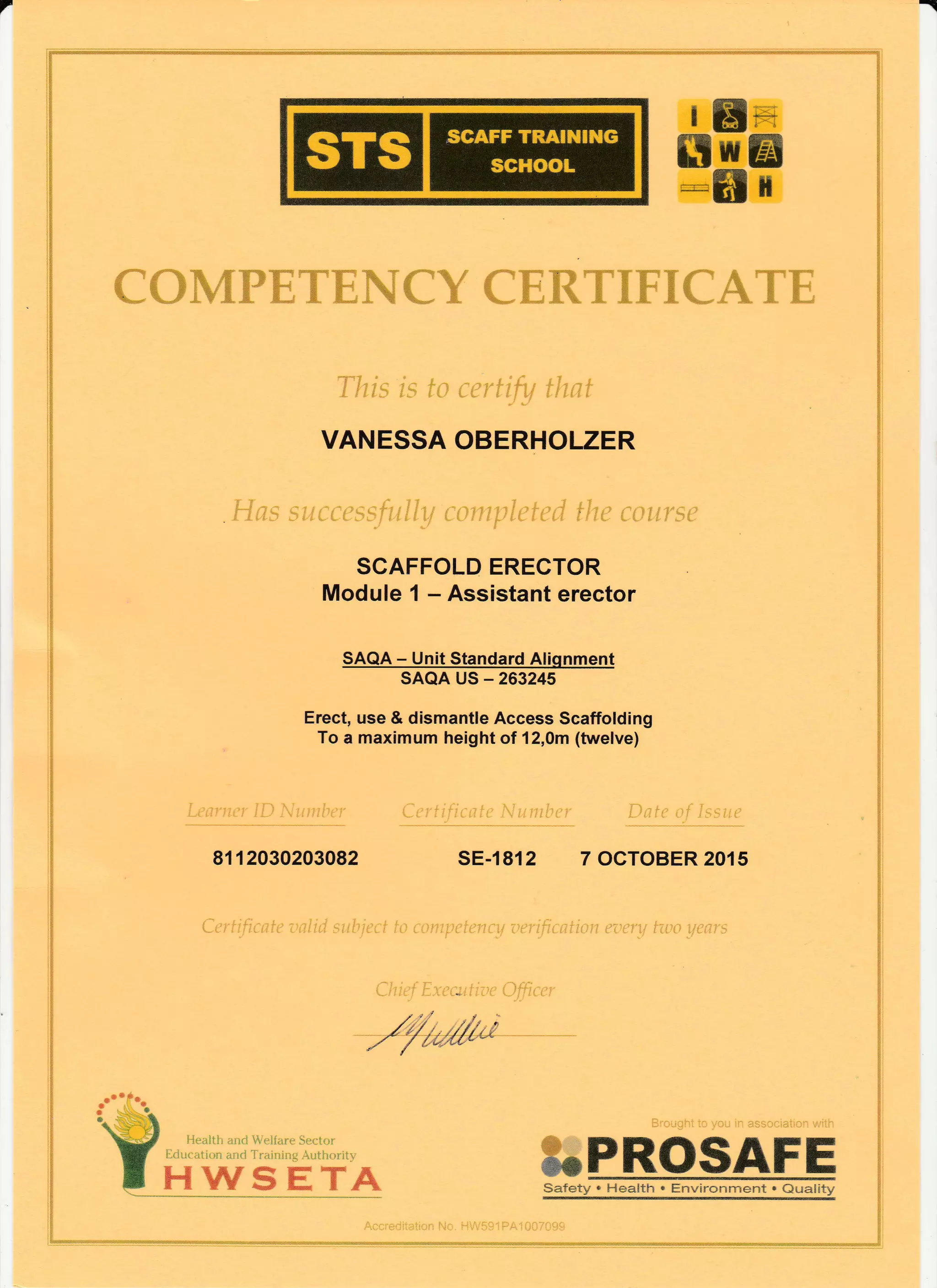 Working at heights & scaffold inspector certificates | PDF