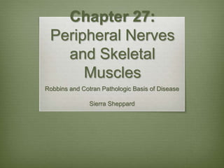Chapter 27:
Peripheral Nerves
and Skeletal
Muscles
Robbins and Cotran Pathologic Basis of Disease
Sierra Sheppard
 