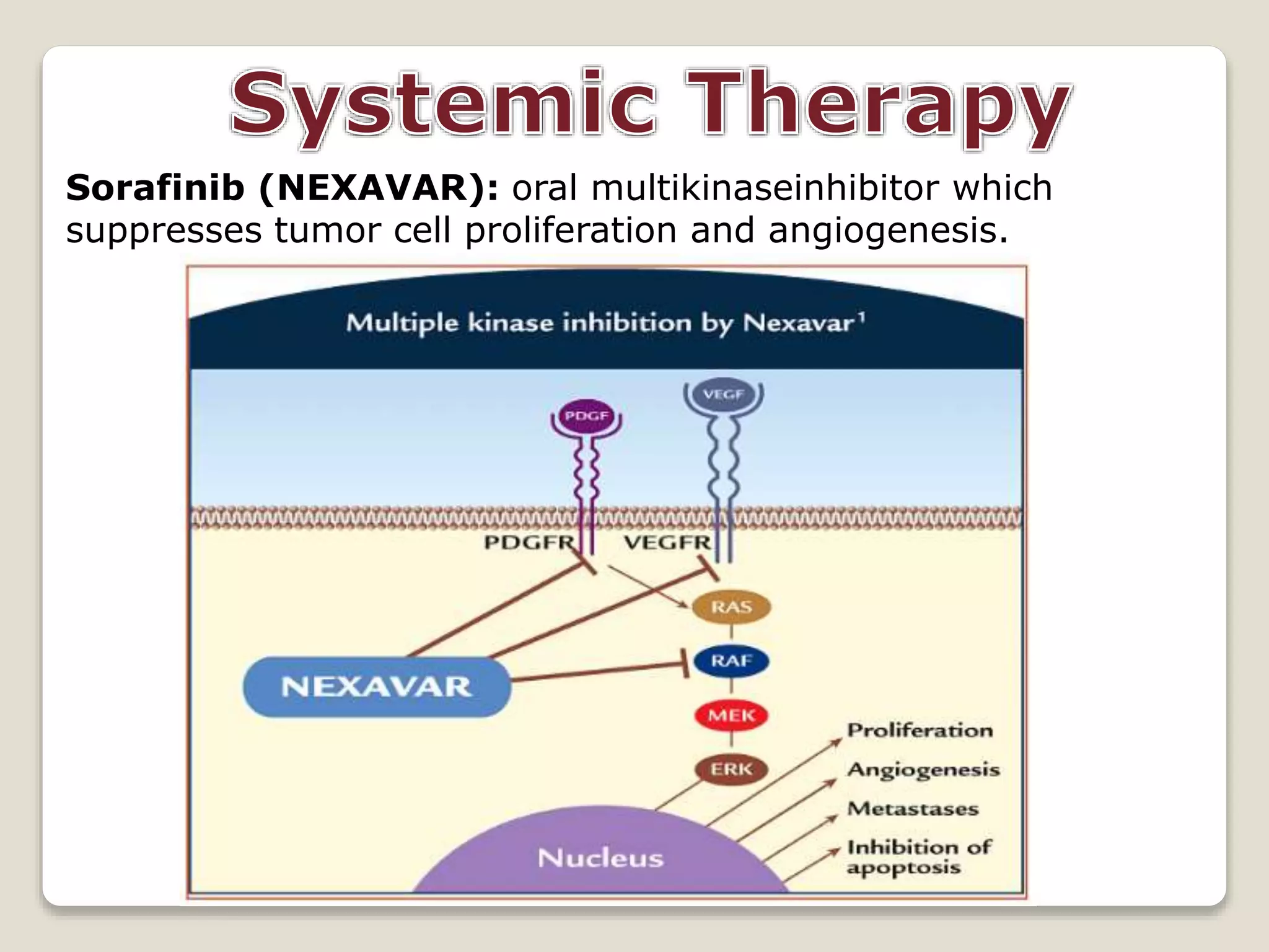 Sorafinib (NEXAVAR): oral multikinaseinhibitor which
suppresses tumor cell proliferation and angiogenesis.
 