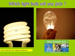 Which light bulb will you pick ? Picture Credit Flickr User: salady and nodomain1 