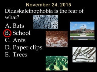 Didaskaleinophobia is the fear of
what?
A. Bats
B. School
C. Ants
D. Paper clips
E. Trees
 
