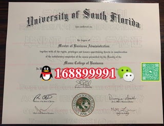 University of South Florida degree offer diploma Transcript | PPT