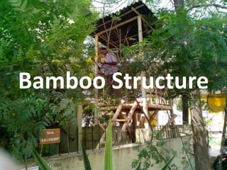 Bamboo Structure
 