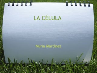 LA CÉLULA Nuria Martínez 