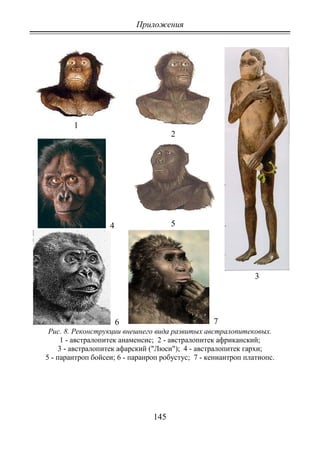 Приложения
145
1
2
3
4 5
6 7
Рис. 8. Реконструкции внешнего вида развитых австралопитековых.
1 - австралопитек анаменсис; 2 - австралопитек африканский;
3 - австралопитек афарский ("Люси"); 4 - австралопитек гархи;
5 - парантроп бойсеи; 6 - паранроп робустус; 7 - кениантроп платиопс.
Copyright ОАО «ЦКБ «БИБКОМ» & ООО «Aгентство Kнига-Cервис»
 