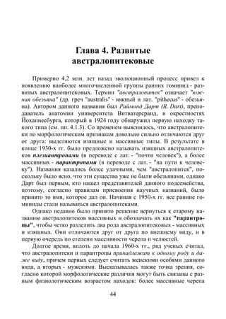Е.К. Кадиева. Антропогенез: на пути к человеку. Ранние гоминиды
44
Глава 4. Развитые австралопитековые
Глава 4. Развитые
австралопитековые
Примерно 4,2 млн. лет назад эволюционный процесс привел к
появлению наиболее многочисленной группы ранних гоминид - раз-
витых австралопитековых. Термин "австралопитек" означает "юж-
ная обезьяна" (др. греч "аustralis" - южный и лат. "pithecus" - обезья-
на). Автором данного названия был Раймонд Дарт (R. Dart), препо-
даватель анатомии университета Витватерсранд, в окрестностях
Йоханнесбурга, который в 1924 году обнаружил первую находку та-
кого типа (см. пп. 4.1.3). Со временем выяснилось, что австралопите-
ки по морфологическим признакам довольно сильно отличаются друг
от друга: выделяются изящные и массивные типы. В результате в
конце 1930-х гг. было предложено называть изящных австралопите-
ков плезиантропами (в переводе с лат. - "почти человек"), а более
массивных - парантропами (в переводе с лат. - "на пути к челове-
ку"). Названия казались более удачными, чем "австралопитек", по-
скольку было ясно, что эти существа уже не были обезьянами, однако
Дарт был первым, кто нашел представителей данного подсемейства,
поэтому, согласно правилам присвоения научных названий, было
принято то имя, которое дал он. Начиная с 1950-х гг. все ранние го-
миниды стали называться австралопитеками.
Однако недавно было принято решение вернуться к старому на-
званию австралопитеков массивных и обозначать их как "парантро-
пы", чтобы четко разделить два рода австралопитековых - массивных
и изящных. Они отличаются друг от друга по внешнему виду, и в
первую очередь по степени массивности черепа и челюстей.
Долгое время, вплоть до начала 1960-х гг., ряд ученых считал,
что австралопитеки и парантропы принадлежат к одному роду и да-
же виду, причем первых следует считать женскими особями данного
вида, а вторых - мужскими. Высказывалась также точка зрения, со-
гласно которой морфологические различия могут быть связаны с раз-
ным физиологическим возрастом находок: более массивные черепа
Copyright ОАО «ЦКБ «БИБКОМ» & ООО «Aгентство Kнига-Cервис»
 