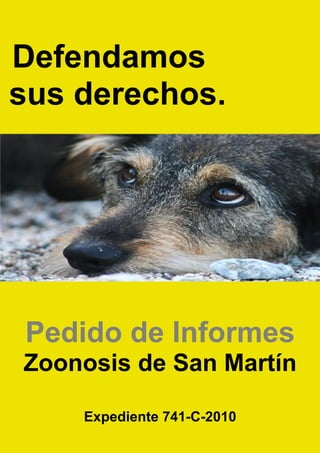 Defendamos
sus derechos.




Pedido de Informes
Zoonosis de San Martín

    Expediente 741-C-2010
 