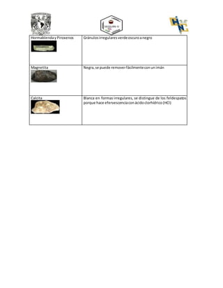 HormablendayPiroxenos Gránulosirregularesverdeoscuroanegro
Magnetita Negra, se puede removerfácilmenteconunimán
Calcita Blanca en formas irregulares, se distingue de los feldespatos
porque hace efervescenciaconácidoclorhídrico(HCl)
 