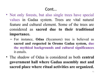 Gaedaa System Comprehensive Overview of the Oromo Gadaa System: Cultural, Political ...