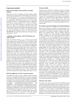 This journal is c The Royal Society of Chemistry 2012 Mol. BioSyst., 2012, 8, 2153–2165 2163
Experimental methods
Barley growth conditions, Bgh inoculation, and sample
collection
Barley line CI 16151, containing the Mla6 powdery mildew
resistance gene, and the CI 16151 fast-neutron, loss-of-function
mutant mla6-m947220,24
were sown in sterilized potting soil in
20 Â 30 cm planting trays and placed in a greenhouse with a
16 h photoperiod. The Blumeria graminis f. sp. hordei (Bgh)
isolate 5874 (AVRa6)50,51
was propagated on barley cv. Manchuria
(CI 2330) in a growth chamber at 18 1C with a 16 h photo-
period. At 7 days after sowing and 1 h before the start of the
dark cycle, plants were inoculated with Bgh isolate 5874,
whereas paired control trays remained non-inoculated according
to Caldo and colleagues.7
The plants were then placed inside
the same growth chamber, and at 32 HAI, ﬁrst leaves
(PO:0007094) were harvested and ﬂash frozen in liquid nitrogen,
and stored at À80 1C.
Arabidopsis growth conditions, TuMV-GFP infection, and
sample collection
Seeds of Arabidopsis Col-035S:HF-RPL18
25
were sown in round
15 cm diameter pots containing LC-1 soil mix (SunGro
s
Seba
Beach, AB, Canada). Plants were grown in a growth chamber
with a 12 h photoperiod at 22 1C. Four plants were grown per
pot in a ﬂat containing 10 pots. For inoculation, TuMV-GFP-
infected leaf tissues were ground with a mortar and pestle in
20 mM sodium phosphate buﬀer (pH 7.2) at a ratio of 1 g of
tissue per 6 ml of buﬀer and then ﬁltered through Miracloth
(Calbiochem, San Diego, CA). For mock inoculation, non-
infected leaf tissues were similarly prepared. At 4 weeks
after sowing, plants were dusted with Carborundum Grit320
(Fisher, Fair Lawn, NJ) and then fully expanded rosette leaves
were rub inoculated with a cotton-tipped applicator that was
soaked in the TuMV-GFP-infected or the mock-inoculation
solution. At 10 DAI, the plants were exposed to a 100 Watt
Blak-Ray long-wave UV lamp (UVP, Upland, CA). To enrich
for virus-infected leaf tissues, only green-ﬂuorescent rosette
leaf tissue was harvested from TuMV-GFP infected samples.
Corresponding leaf samples were taken from mock-inoculated
plants also under illumination with UV light. The plants were
exposed to the UV light for less than 2.5 min. All leaf tissue
was frozen immediately in liquid nitrogen and stored at À80 1C.
RT-PCR ampliﬁcation of TuMV coat protein sequence
Co-IP RNA (2.5 mg) was used in cDNA synthesis following
treatment with DNaseI. Superscript II reverse transcriptase
(Invitrogen, Carlsbad, CA) was used in the ﬁrst-strand cDNA
synthesis that was primed by oligo(dT). cDNA was then used
in a PCR reaction with primers for ACTIN8 (AT1G49240);
Actin8RTL, 50
-GAGACATCGTTTCCATGACG; and
Actin8RTR, 50
-TCCGAGTTTGAAGAGGCTACA and for
TuMV coat protein TuMVCPL, 50
-TGGCTGATTACGA-
ACTGACG; TuMVCPR, 50
-CCTCTCCGTGTTCTCTACCG.
ACTIN8 primers were used in 30 cycles at 94 1C 30s, 54 1C 30s,
and 72 1C 30s, while TuMV coat protein primers were used in
40 cycles at 94 1C 30s, 50 1C 30s, and 72 1C 30s. The resulting
20 ml PCR products were resolved on a 1.5% agarose gel.
Polysome proﬁling
Polysomes were puriﬁed for proﬁling according to Skadsen
and Jing.3
Polysomes (1.2 A260 units) were applied to 10–40%
linear sucrose gradients and centrifuged for 3 h at 61 000 g in a
SW41Ti Beckman rotor. Fluorinert FC-40 (Teledyne Isco Co.,
Lincoln, NE) was pumped into the bottoms of the gradient
tubes with a compact infusion pump (Harvard Apparatus,
Holliston, MA) at 2.2 cc/min. Polysome A254 units were
monitored as the gradients passed through a dual beam optical
unit and recorded with an UA-5 optical unit (Teledyne Isco Co.,
Lincoln, NE).
RNA isolation, target mRNA labeling, and GeneChip hybridization
Barley and Arabidopsis total RNA was isolated using a hot
(60 1C) phenol/guanidine thiocyanate method.8
Barley poly-
somal RNA was isolated according to Skadsen and Jing.3
RNAs were puriﬁed further using the RNeasy Midi kit
(Qiagen, Valencia, CA). The Arabidopsis polysomal RNA
fraction was isolated via the FLAG epitope fused to RPL18
as described.4,25
Five ml of packed tissue was extracted in
10 ml of polysome extraction buﬀer,4
and the homogenates
were clariﬁed by centrifugation at 16 000 g for 10 min. The
resulting crude extract was then incubated with 300 ml of anti-
FLAG agarose beads (Sigma, St. Louis, MO) followed by four
wash steps.4
The bound ribosomal fraction was then eluted
with 300 ml wash buﬀer containing 200 ng mlÀ1
of 3X-FLAG
peptide (Sigma, St. Louis, MO). Two volumes of 8 M guani-
dine HCl and 2.5 volumes 100% ethanol were added to the
eluate, the samples were vortexed, and RNA was precipitated
overnight at À20 1C. The RNeasy Plant Mini Kit was then
used to complete the RNA extraction (Qiagen, Valencia, CA).
The RNA concentration and quality of the total and poly-
somal RNA samples was determined with a NanoDrop spec-
trophotometer (NanoDrop Technologies, Wilmington, DE)
and the RNA Nanochip on a 2100 Bioanalyzer (Agilent
Technologies, Inc., Palo Alto, CA). Labeled copy RNA was
synthesized from 5 mg of input RNA using the GeneChips
One-Cycle Target Labeling and Control Reagents kit
(Aﬀymetrix, Santa Clara, CA) according to the manu-
facturer’s instructions. RNA samples were processed in
random order. Labeled copy RNA was hybridized to either
Barley1 GeneChip52
or Arabidopsis ATH1 GeneChip micro-
arrays (Aﬀymetrix, Santa Clara, CA). Washes were performed
according to the EukGE-WS2v5_450 protocol, and micro-
arrays were scanned with a GCS3000 7G scanner (Aﬀymetrix).
Labeling, hybridization, and scanning were all performed at
the Iowa State University GeneChip Facility (biotech.iastate.
edu/facilities/genechip/Genechip.htm).
Microarray data analysis
For barley, log2 values were derived from the MAS5.0 signal
intensities from each GeneChip and were median centered so
that each GeneChip had a median log2 signal intensity of zero.
For each gene, the median-centered log2 signal intensities were
modeled as a linear function of ﬁxed RNA composition,
inoculation type, and genotype eﬀects, and also of random
repetition and repetition by inoculation by genotype eﬀects.
Respectively, the random eﬀects account for the correlation of
Publishedon04May2012.DownloadedbyUniversityofWisconsin-Madisonon12/03/201416:14:04. View Article Online
 