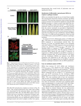 This journal is c The Royal Society of Chemistry 2012 Mol. BioSyst., 2012, 8, 2153–2165 2155
40S, 60S, 80S and polysome complexes are shown in Fig. 2A
and C. The average proportional areas under these proﬁles
were determined for the polysomal (dimer and larger) and
non-polysomal (40S, 60S, and 80S) RNA species from ﬁve
(barley) and seven (Arabidopsis) independent biological repli-
cations (Fig. 2B and D). The proportions of polysomal to
non-polysomal RNA were not signiﬁcantly diﬀerent between
pathogen-treated and control samples in either host species,
demonstrating that overall levels of polysomes were not
signiﬁcantly altered.
Identiﬁcation of diﬀerentially expressed genes (DEGs) in
response to pathogen treatment
DEGs were identiﬁed through the use of mixed linear models
that incorporated interactions between treatment and RNA
population. The mean log2 expression values arising from each
contrast statement were assessed for signiﬁcance using the SAS
MIXED procedure to obtain p-values from which false dis-
covery rates (FDR; q-values) were derived.26,27
The mean log2
expression values for each gene and the associated statistics
from the contrast statements are provided in Supplemental
Table 1 (barley) and Supplemental Table 2 (Arabidopsis)w (see
Materials and Methods for details on the statistical analysis of
each data set). Probe sets were considered to represent DEGs
if they met a 5% FDR cutoﬀ and changed by at least two-fold
in total RNA and/or polysomal RNA in response to pathogen
treatment.
In resistant CI 16151 (Mla6) barley plants at 32 HAI with
Bgh, 3,505 probe sets detected DEGs in polysomal and total
RNA compared to non-inoculated controls (Fig. 3A).
However, no probe sets identiﬁed DEGs in the susceptible
mla6-m9472 plants at 32 HAI compared to the non-inoculated
control. In Arabidopsis Col-035S:HF-RPL18, 958 probe sets
identiﬁed DEGs in response to TuMV compared to the
mock-inoculated control (Fig. 3B). The majority of DEGs in
polysomal RNA shared the same proﬁle of induction or
suppression as DEGs identiﬁed in total RNA in response to
pathogen treatment (Fig. 3A and B). However, four barley
and one Arabidopsis mRNAs are induced in one RNA
population and suppressed in the other (Fig. 3A and B).
Therefore, these data suggested that not all mRNAs responded
similarly to pathogen treatment in the two RNA populations.
Gene set enrichment analysis of DEGs
DEGs from resistant CI 16151 (Mla6) and Arabidopsis
Col-035S:HF-RPL18 were selected for gene ontology analysis
using AgriGO (http://bioinfo.cau.edu.cn/agriGO/).30
AgriGO
included 15 179 annotated H. vulgare genes represented on the
Barley1 GeneChip with an average of 1.37 annotations per
gene, and 22 479 annotations for the Arabidopsis ATH1
GeneChip with an average of 3.6 annotations each. Of barley
DEGs, 74% were associated with at least one annotation,
while over 99% of Arabidopsis DEGs had at least one annotation.
In these ontological classiﬁcations, DEGs were allowed to have
more than one annotation, and classes were considered signiﬁ-
cantly overrepresented at a p-value cutoﬀ of 0.05 and if repre-
sented by at least 5 DEGs (bold values in Table 1, Table 2).
The AgriGO analyses identiﬁed overrepresented functional
classes shared in common between the two pathosystems
(Table 1, Table 2, Supplemental Tables 3 and 4w). Major over-
represented GO categories among induced DEGs in CI 16151
Mla6 barley included defense response, ribosome, kinase activity,
and vesicle mediated transport. Overrepresented AgriGO categories
among down-regulated DEGs included response to auxin stimulus;
transferase activity, transferring glycosyl groups; and many
categories associated with nuclear genes encoding chloroplast
Fig. 1 Experimental systems. (A) The barley line CI 16151 carries the
Mla6 gene that confers resistance to Blumeria graminis f. sp. hordei
(Bgh) isolate 5874, which carries the corresponding avirulence gene
AVRa6. mla6-m9472 is a fast-neutron mla6 loss-of-function mutant
derived from CI 16151 susceptible to Bgh isolate 5874. The leaves of
inoculated and control plants were photographed at 7 DAI to illustrate
the resistant and susceptible phenotypes. (B) Transgenic Arabidopsis
Col-035S:HF-RPL18 plants were used in these experiments. Plants were
inoculated with TuMV-GFP (Infection) or mock-inoculated (Control)
and photographed under UV illumination at 10 DAI. Control plants
appear red due to chlorophyll ﬂuorescence. Leaves from such plants
were used for extraction of total RNA and co-immunoprecipitation of
RNA with the anti-FLAG antibody (polysomal RNA). (C) RT-PCR
was used to detect Actin8 mRNA and TuMV coat protein (CP)
sequences in the co-immunoprecipitated (polysomal) RNA fraction
from infected and control Arabidopsis Col-035S:HF-RPL18.
Publishedon04May2012.DownloadedbyUniversityofWisconsin-Madisonon12/03/201416:14:04. View Article Online
 