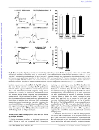 2156 Mol. BioSyst., 2012, 8, 2153–2165 This journal is c The Royal Society of Chemistry 2012
functions such as photosynthesis (Table 1). AgriGO categories
that were shared with the Arabidopsis-TuMV pathosystem
included defense response and kinase activity among induced
DEGs and chloroplast-associated categories among down-
regulated DEGs (Table 2). In addition, the endomembrane system
and unfolded protein binding categories were overrepresented
among induced DEGs in response to TuMV. While many of
these processes have been previously implicated in host-pathogen
interactions, the addition of the polysomal RNA proﬁling data
suggests that many interesting gene expression responses that
occur in total RNA are correlated with polysomal RNA. These
data suggest that major groups of DEGs respond synchronously
in the transcriptome (total RNA) and translatome (polysomal
RNA) during attack by obligate pathogens.
Identiﬁcation of mRNAs with poly/total ratios that were altered
by pathogen treatment
To further investigate the eﬀects of pathogen treatment on
mRNA levels in total and polysomal RNA, hierarchical
clustering was performed to group the DEGs based on their
fold changes in the two RNA populations, and the results were
displayed as heatmaps (Fig. 3C and D).28,29
Most DEGs
had similar fold changes in polysomal and total RNA, demon-
strating that they were coordinately up or down regulated in
the RNA populations in response to pathogen treatment.
However, subsets of DEGs had altered expression in poly-
somal RNA and little or no change in total RNA and
vice-versa (highlighted with yellow bars in Fig. 3C and D).
The levels of the highlighted DEGs were compared in poly-
somal and total RNA. The observation that 16.9% of barley
DEGs and 9.5% of Arabidopsis Col-035S:HF-RPL18 DEGs
diﬀered by 2-fold or more between the two RNA populations
suggested that some DEGs were also diﬀerentially associated
with polysomes.
To determine the association of mRNAs with polysomes,
the ratio of mRNA abundance in the polysomal versus total
RNA (poly/total ratio) was calculated for each sample type.
The poly/total ratio of each gene under control conditions was
plotted against the poly/total ratio after pathogen treatment
Fig. 2 Polysome proﬁles of pathogen-treated and control barley and Arabidopsis plants. Proﬁles of polysomes isolated from CI 16151 (Mla6,
resistant) and mla6-m9472 (susceptible) barley at 32 HAI (A) or TuMV-GFP-infected and mock-inoculated Arabidopsis Col-035S:HF-RPL18 at
10 DAI (C). Representative polysome proﬁles are shown in A and C. Ribosome complexes were fractionated by centrifugation through a 10–40%
(w/v) sucrose density gradient and quantiﬁed by their absorbance at 254 nm (A254). (B and D) The ratios of polysomal (dimers and larger) to
non-polysomal (40S, 60S, 80S) complexes were calculated from the area under the proﬁles. The mean from independent biological replications is
presented (Æ standard error) for ﬁve independent barley replicates and seven independent Arabidopsis Col-035S:HF-RPL18 replicates.
Publishedon04May2012.DownloadedbyUniversityofWisconsin-Madisonon12/03/201416:14:04. View Article Online
 