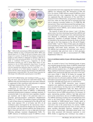 This journal is c The Royal Society of Chemistry 2012 Mol. BioSyst., 2012, 8, 2153–2165 2157
for CI 16151 (Mla6) barley and Arabidopsis Col-035S:HF-RPL18
(Fig. 4A and C, data not shown for mla6-m9472 barley). The
mRNAs with ratios deviating from unity were either enhanced
or suppressed in their association with polysomes in response
to pathogen treatment (Fig. 4A and C).
The poly/total ratios were then compared for diﬀerent
combinations of treatment and genotype. Our statistical
analysis identiﬁed three classes of mRNAs: 1) diﬀerentially
associated with polysomes in response to pathogen treatment, 2)
consistently high or low poly/total ratios regardless of patho-
gen treatment, and 3) high or low poly/total ratios in a
particular genotype/treatment combination (Supplemental
Tables 5, 6, 7, 8, and 9w). The numbers of genes corresponding
to each of these classes are summarized in Fig. 4B and D, and
these totals represent 18% of all barley and 26% of all
Arabidopsis genes interrogated by the microarrays. Class 1
corresponds to the intersections between the top and bottom
sets of circles, and they represent mRNAs that change from a
high to low poly/total ratio or a low to high poly/total ratio
following pathogen treatment (Supplemental Table 5w).
TuMV infection of Arabidopsis caused 14 mRNAs to have
increased poly/total ratios suggesting that translation of these
mRNAs was enhanced (Fig. 4D, intersection of VHi and
CLo). In contrast, TuMV infection caused 10 mRNAs to have
reduced poly/total ratios suggesting that their translation
was suppressed (Fig. 4D, intersection of VLo and CHi). In
resistant CI 16151 (Mla6) barley, one gene had a reduced poly/
total ratio, while one other gene had an increased poly/total
ratio in response to powdery mildew at a 5% FDR (Fig. 4B,
intersections). These results demonstrated that pathogen treat-
ment perturbed host gene expression at two levels, 1) altered
accumulation of host mRNAs, and 2) altered association of
mRNAs with polysomes.
The majority of genes fell into classes 2 and 3. Of these,
genes in class 2 are most interesting, because their mRNAs had
consistently high or low poly/total ratios, demonstrating they
were eﬃciently or ineﬃciently associated with polysomes,
respectively, regardless of pathogen challenge. These genes
are identiﬁed at the intersections between the circles on the left
and right in the Venn diagrams in Fig. 4B and D (Supple-
mental Tables 7 and 9w). Some of these genes also displayed
conserved behavior between the resistant CI 16151 (Mla6) and
susceptible m9472-mla6 barley genotypes. For instance,
258 mRNAs had consistently low poly/total ratios and 115
had consistently high poly/total ratios in both genotypes,
whether inoculated with Bgh or non-inoculated (5% FDR;
Supplemental Table 6w).
Gene set enrichment analysis of genes with interesting poly/total
ratios
Next, we wanted to know if any functional groups of genes
were enriched among the three classes of mRNAs summarized
in Fig. 4B and D. The AgriGO analyses were conducted as for
DEGs with the exception that a 1% FDR cutoﬀ was applied.
Many signiﬁcant functional categories were identiﬁed among
mRNAs with constitutively high poly/total ratios or low poly/
total ratios (Table 3, Table 4). In barley for example, the
categories membrane, membrane part, and vesicle had low
poly/total ratios for all tested conditions (Table 3). In barley,
chloroplast-associated categories were well represented among
transcripts with high poly/total ratios in control leaves.
In the Arabidopsis-TuMV interaction, many transport
categories were signiﬁcant among genes with low poly/total
ratios in control leaves, but they were not in TuMV-infected
leaves (Table 4; Supplemental Table 10w). Many GO cate-
gories were enriched for genes with high poly/total ratios in
control leaves, but not TuMV-infected leaves. For instance, 14
genes representing peptidase inhibitors had high poly/total
ratios in the control leaves, but not in TuMV-infected leaves.
Ten mRNAs specifying autophagy function had high poly/total
ratios in the control leaves, whereas only three such genes
were identiﬁed in TuMV-infected leaves. Finally, genes in
many categories associated with chromatin had high poly/
total ratios only in the control leaves. In contrast, TuMV-
infection caused increased poly/total ratios of many nuclear
genes encoding chloroplast functions, including those of
photosynthesis. Interestingly, chloroplast-related genes were
more often associated with decreased expression in total
RNA (Table 2) suggesting that Arabidopsis may employ a
Fig. 3 Diﬀerentially expressed genes (DEGs) identiﬁed in response to
pathogen challenge in total or polysomal (poly) RNA. DEGs were
selected based on a 5% FDR cut oﬀ and an absolute value of fold
change of 2 or greater. (A and B) The Venn diagram summarizes the
numbers of genes induced or suppressed in response to Bgh (A) or
TuMV (B) in total and polysomal RNA, for CI 16151 Bgh resistant
barley or Arabidopsis Col-035S:HF-RPL18, respectively. (C and D)
Hierarchical clustering was used to group DEGs based on their
expression in the two RNA populations using Cluster 3.0, and the
results were visualized using the Java TreeView program.28,29
The
color bar represents log2 expression values on a scale from À3 to +3,
which corresponds to an 8-fold induction (magenta) or repression
(green). The ﬁrst column represents the fold change of the diﬀerentially
expressed genes in polysomal RNA. The second column represents the
fold change of the diﬀerentially expressed genes in total RNA.
Publishedon04May2012.DownloadedbyUniversityofWisconsin-Madisonon12/03/201416:14:04. View Article Online
 
