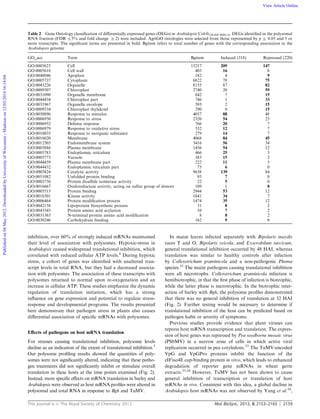 This journal is c The Royal Society of Chemistry 2012 Mol. BioSyst., 2012, 8, 2153–2165 2159
inhibition, over 60% of strongly induced mRNAs maintained
their level of association with polysomes. Hypoxic-stress in
Arabidopsis caused widespread translational inhibition, which
correlated with reduced cellular ATP levels.6
During hypoxic
stress, a cohort of genes was identiﬁed with unaltered tran-
script levels in total RNA, but they had a decreased associa-
tion with polysomes. The association of these transcripts with
polysomes returned to normal upon re-oxygenation and an
increase in cellular ATP. These studies emphasize the dynamic
regulation of translation initiation, which has a strong
inﬂuence on gene expression and potential to regulate stress-
response and developmental programs. The results presented
here demonstrate that pathogen stress in plants also causes
diﬀerential association of speciﬁc mRNAs with polysomes.
Eﬀects of pathogens on host mRNA translation
For stresses causing translational inhibition, polysome levels
decline as an indication of the extent of translational inhibition.5
Our polysome proﬁling results showed the quantities of poly-
somes were not signiﬁcantly altered, indicating that these patho-
gen treatments did not signiﬁcantly inhibit or stimulate overall
translation in these hosts at the time points examined (Fig. 2).
Instead, more speciﬁc eﬀects on mRNA translation in barley and
Arabidopsis were observed as host mRNA proﬁles were altered in
polysomal and total RNA in response to Bgh and TuMV.
In maize leaves infected separately with Bipolaris maydis
races T and O, Bipolaris zeicola, and Exserohilum turcicum,
general translational inhibition occurred by 48 HAI, whereas
translation was similar to healthy controls after infection
by Colletotrichum graminicola and a non-pathogenic Phoma
species.32
The maize pathogens causing translational inhibition
were all necrotrophs. Colletotrichum graminicola infection is
hemibiotrophic, in that the ﬁrst phase of infection is biotrophic,
while the latter phase is necrotrophic. In the biotrophic inter-
action of barley with Bgh, the polysome proﬁles demonstrated
that there was no general inhibition of translation at 32 HAI
(Fig. 2). Further testing would be necessary to determine if
translational inhibition of the host can be predicted based on
pathogen habit or severity of symptoms.
Previous studies provide evidence that plant viruses can
repress host mRNA transcription and translation. The expres-
sion of host genes was repressed by Pea seedborne mosaic virus
(PSbMV) in a narrow zone of cells in which active viral
replication occurred in pea cotyledons.23
The TuMV-encoded
VpG and VpGPro proteins inhibit the function of the
eIFiso4E cap-binding protein in vitro, which leads to enhanced
degradation of reporter gene mRNAs in wheat germ
extracts.33,34
However, TuMV has not been shown to cause
general inhibition of transcription or translation of host
mRNAs in vivo. Consistent with this idea, a global decline in
Arabidopsis host mRNAs was not observed by Yang et al.10
,
Table 2 Gene Ontology classiﬁcation of diﬀerentially expressed genes (DEGs) in Arabidopsis Col-035S:HF-RPL18. DEGs identiﬁed in the polysomal
RNA fraction (FDR r5% and fold change Z 2) were included. AgriGO ontologies were selected from those represented by p r 0.05 and 5 or
more transcripts. The signiﬁcant terms are presented in bold. Bgitem refers to total number of genes with the corresponding annotation in the
Arabidopsis genome
GO_acc Term Bgitem Induced (318) Repressed (220)
GO:0005623 Cell 15217 209 147
GO:0005618 Cell wall 403 16 8
GO:0048046 Apoplast 182 4 9
GO:0005737 Cytoplasm 6822 78 75
GO:0043226 Organelle 8155 87 82
GO:0009507 Chloroplast 2740 20 59
GO:0031090 Organelle membrane 842 7 15
GO:0044434 Chloroplast part 746 1 33
GO:0031967 Organelle envelope 595 2 15
GO:0009534 Chloroplast thylakoid 290 0 15
GO:0050896 Response to stimulus 4057 88 48
GO:0006950 Response to stress 2320 54 23
GO:0006952 Defense response 766 20 7
GO:0006979 Response to oxidative stress 332 12 7
GO:0010035 Response to inorganic substance 279 14 7
GO:0016020 Membrane 4068 84 45
GO:0012505 Endomembrane system 3416 56 34
GO:0005886 Plasma membrane 1456 54 12
GO:0005783 Endoplasmic reticulum 466 25 3
GO:0005773 Vacuole 383 15 2
GO:0044459 Plasma membrane part 222 11 5
GO:0044432 Endoplasmic reticulum part 75 6 0
GO:0003824 Catalytic activity 9638 139 84
GO:0051082 Unfolded protein binding 93 7 0
GO:0003756 Protein disulﬁde isomerase activity 22 5 0
GO:0016667 Oxidoreductase activity, acting on sulfur group of donors 109 1 8
GO:0005515 Protein binding 2944 53 12
GO:0016301 Kinase activity 1641 34 7
GO:0006464 Protein modiﬁcation process 1474 35 12
GO:0042158 Lipoprotein biosynthetic process 31 8 2
GO:0043543 Protein amino acid acylation 10 7 2
GO:0031365 N-terminal protein amino acid modiﬁcation 8 8 2
GO:0030246 Carbohydrate binding 162 9 0
Publishedon04May2012.DownloadedbyUniversityofWisconsin-Madisonon12/03/201416:14:04. View Article Online
 
