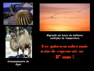 Armazenamento de
Água
Migração em busca de melhores
condições de temperatura
Ese quiserem sabermais
terão de esperaraté ao
8º ano !
 