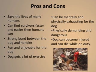 Pros and Cons
• Save the lives of many
humans
• Can find survivors faster
and easier then humans
can
• Strong bond between the
dog and handler
• Fun and enjoyable for the
dog
• Dog gets a lot of exercise
•Can be mentally and
physically exhausting for the
dog
•Physically demanding and
dangerous
•Dog can become injured
and can die while on duty
 