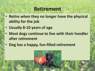 Retirement
• Retire when they no longer have the physical
ability for the job
• Usually 8-10 years of age
• Most dogs continue to live with their handler
after retirement
• Dog has a happy, fun-filled retirement
 