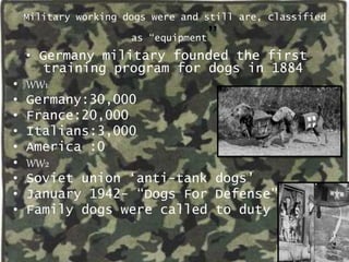 Military working dogs were and still are, classified
as “equipment”
• Germany military founded the first
training program for dogs in 1884
• WW1
• Germany:30,000
• France:20,000
• Italians:3,000
• America :0
• WW2
• Soviet union ‘anti-tank dogs’
• January 1942- “Dogs For Defense”
• Family dogs were called to duty
 