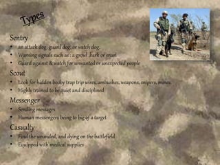 Sentry
• an attack dog, guard dog, or watch dog.
• Warning signals such as : a growl ,bark or snarl
• Guard against & watch for unwanted or unexpected people
Scout
• Look for hidden booby trap trip wires, ambushes, weapons, snipers, mines.
• Highly trained to be quiet and disciplined
Messenger
• Sending messages
• Human messengers being to big of a target
Casualty
• Find the wounded, and dying on the battlefield
• Equipped with medical supplies
 