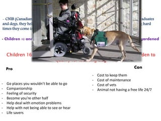 - CNIB (Canadian national institute blind) Maintains continuous contact with the graduates
and dogs, they help them through their lives together; if the person is moving, facing hard
times they come in and help
- Children 12 and under should not have service dogs, unless their parent/gardened
consents and takes responsibly for working dog
Children 16 and up do not need consent from the parent/ Garden to
qualify for working dog
Pro
- Go places you wouldn’t be able to go
- Companionship
- Feeling of security
- Become you’re other half
- Help deal with emotion problems
- Help with not being able to see or hear
- Life savers
Con
- Cost to keep them
- Cost of maintenance
- Cost of vets
- Animal not having a free life 24/7
 