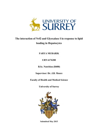 The interaction of Nrf2 and Glyoxalase I in response to lipid
loading in Hepatocytes
FARYA MUBARIK
URN 6176280
B.Sc. Nutrition (B400)
Supervisor: Dr. J.B. Moore
Faculty of Health and Medical Science
University of Surrey
Submitted May 2015
 