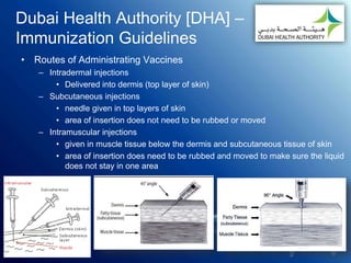 Dubai Health Authority [DHA] –
Immunization Guidelines
• Routes of Administrating Vaccines
– Intradermal injections
• Delivered into dermis (top layer of skin)
– Subcutaneous injections
• needle given in top layers of skin
• area of insertion does not need to be rubbed or moved
– Intramuscular injections
• given in muscle tissue below the dermis and subcutaneous tissue of skin
• area of insertion does need to be rubbed and moved to make sure the liquid
does not stay in one area
 