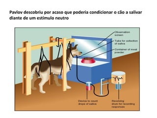 Pavlov descobriu por acaso que poderia condicionar o cão a salivar
diante de um estímulo neutro
 