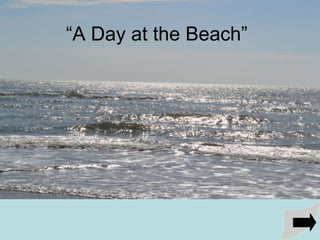 “A Day at the Beach”
 