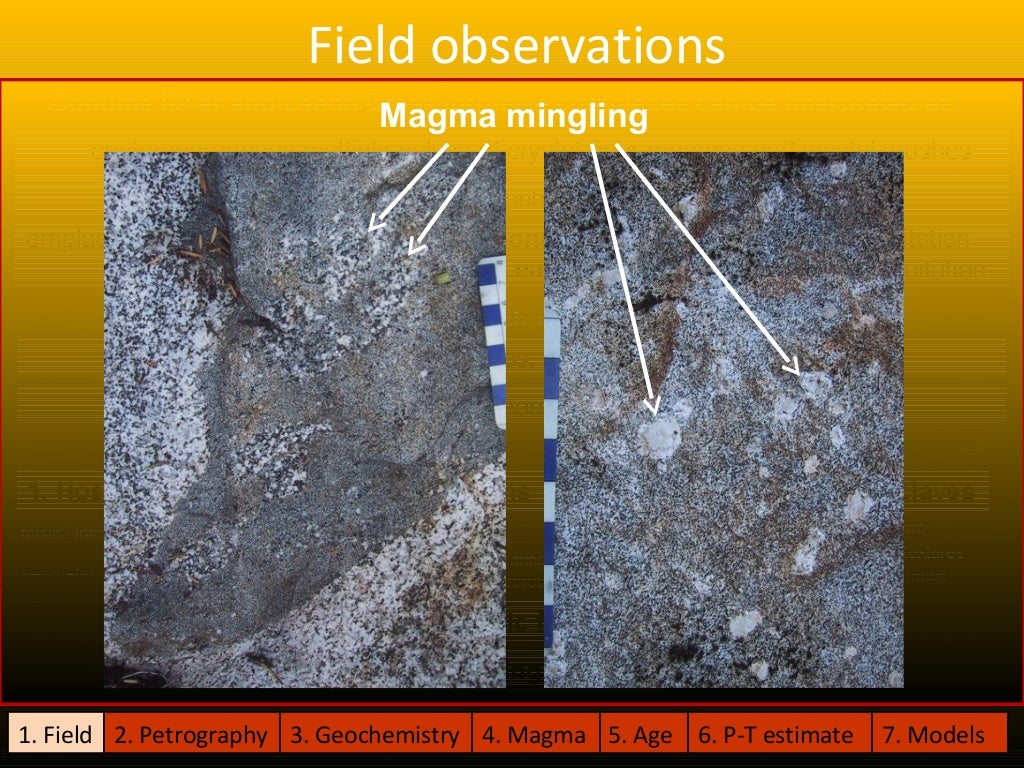 Executive dba online picture