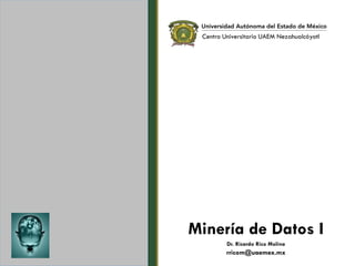 Minería de Datos I
Dr. Ricardo Rico Molina
rricom@uaemex.mx
Centro Universitario UAEM Nezahualcóyotl
 