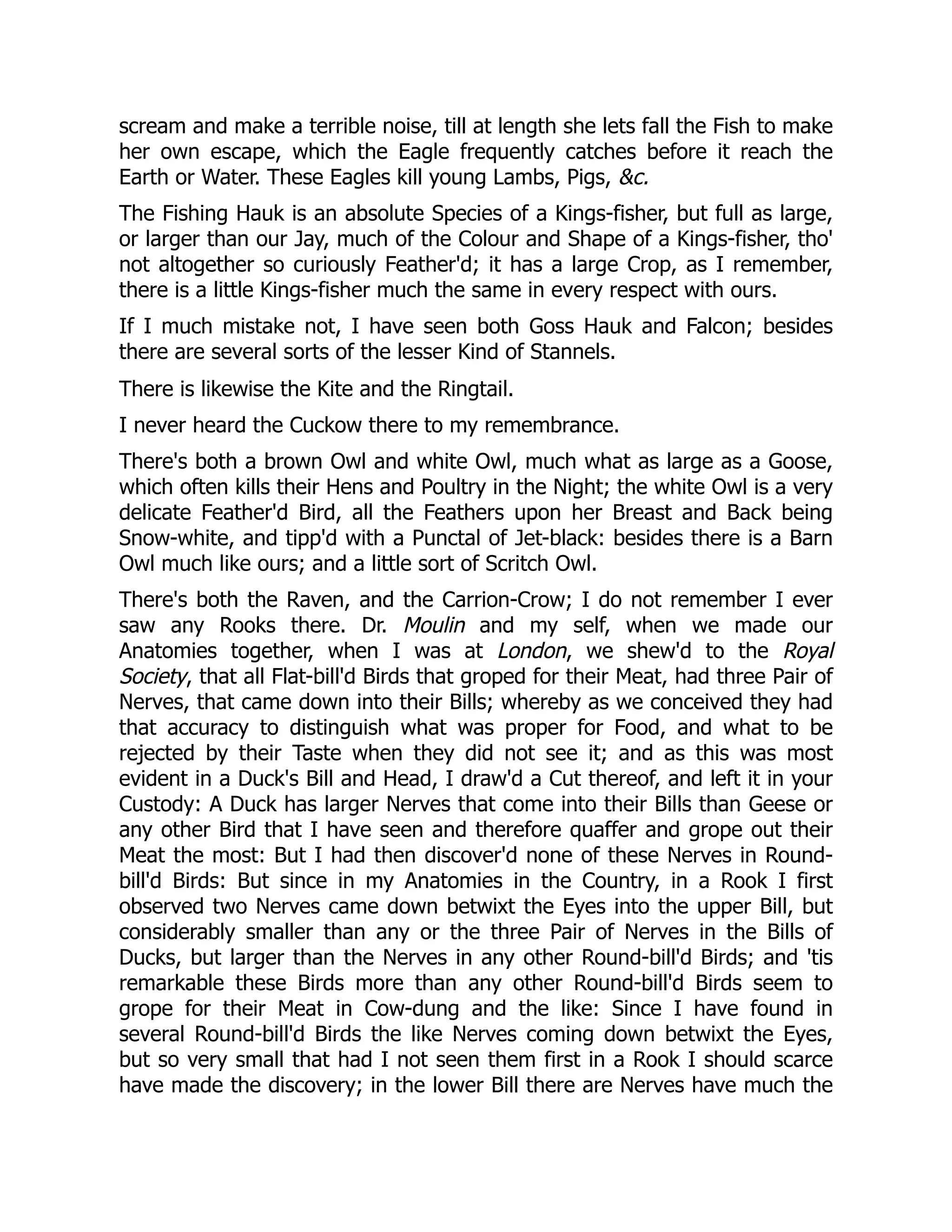 scream and make a terrible noise, till at length she lets fall the Fish to make
her own escape, which the Eagle frequently catches before it reach the
Earth or Water. These Eagles kill young Lambs, Pigs, &c.
The Fishing Hauk is an absolute Species of a Kings-fisher, but full as large,
or larger than our Jay, much of the Colour and Shape of a Kings-fisher, tho'
not altogether so curiously Feather'd; it has a large Crop, as I remember,
there is a little Kings-fisher much the same in every respect with ours.
If I much mistake not, I have seen both Goss Hauk and Falcon; besides
there are several sorts of the lesser Kind of Stannels.
There is likewise the Kite and the Ringtail.
I never heard the Cuckow there to my remembrance.
There's both a brown Owl and white Owl, much what as large as a Goose,
which often kills their Hens and Poultry in the Night; the white Owl is a very
delicate Feather'd Bird, all the Feathers upon her Breast and Back being
Snow-white, and tipp'd with a Punctal of Jet-black: besides there is a Barn
Owl much like ours; and a little sort of Scritch Owl.
There's both the Raven, and the Carrion-Crow; I do not remember I ever
saw any Rooks there. Dr. Moulin and my self, when we made our
Anatomies together, when I was at London, we shew'd to the Royal
Society, that all Flat-bill'd Birds that groped for their Meat, had three Pair of
Nerves, that came down into their Bills; whereby as we conceived they had
that accuracy to distinguish what was proper for Food, and what to be
rejected by their Taste when they did not see it; and as this was most
evident in a Duck's Bill and Head, I draw'd a Cut thereof, and left it in your
Custody: A Duck has larger Nerves that come into their Bills than Geese or
any other Bird that I have seen and therefore quaffer and grope out their
Meat the most: But I had then discover'd none of these Nerves in Round-
bill'd Birds: But since in my Anatomies in the Country, in a Rook I first
observed two Nerves came down betwixt the Eyes into the upper Bill, but
considerably smaller than any or the three Pair of Nerves in the Bills of
Ducks, but larger than the Nerves in any other Round-bill'd Birds; and 'tis
remarkable these Birds more than any other Round-bill'd Birds seem to
grope for their Meat in Cow-dung and the like: Since I have found in
several Round-bill'd Birds the like Nerves coming down betwixt the Eyes,
but so very small that had I not seen them first in a Rook I should scarce
have made the discovery; in the lower Bill there are Nerves have much the
 