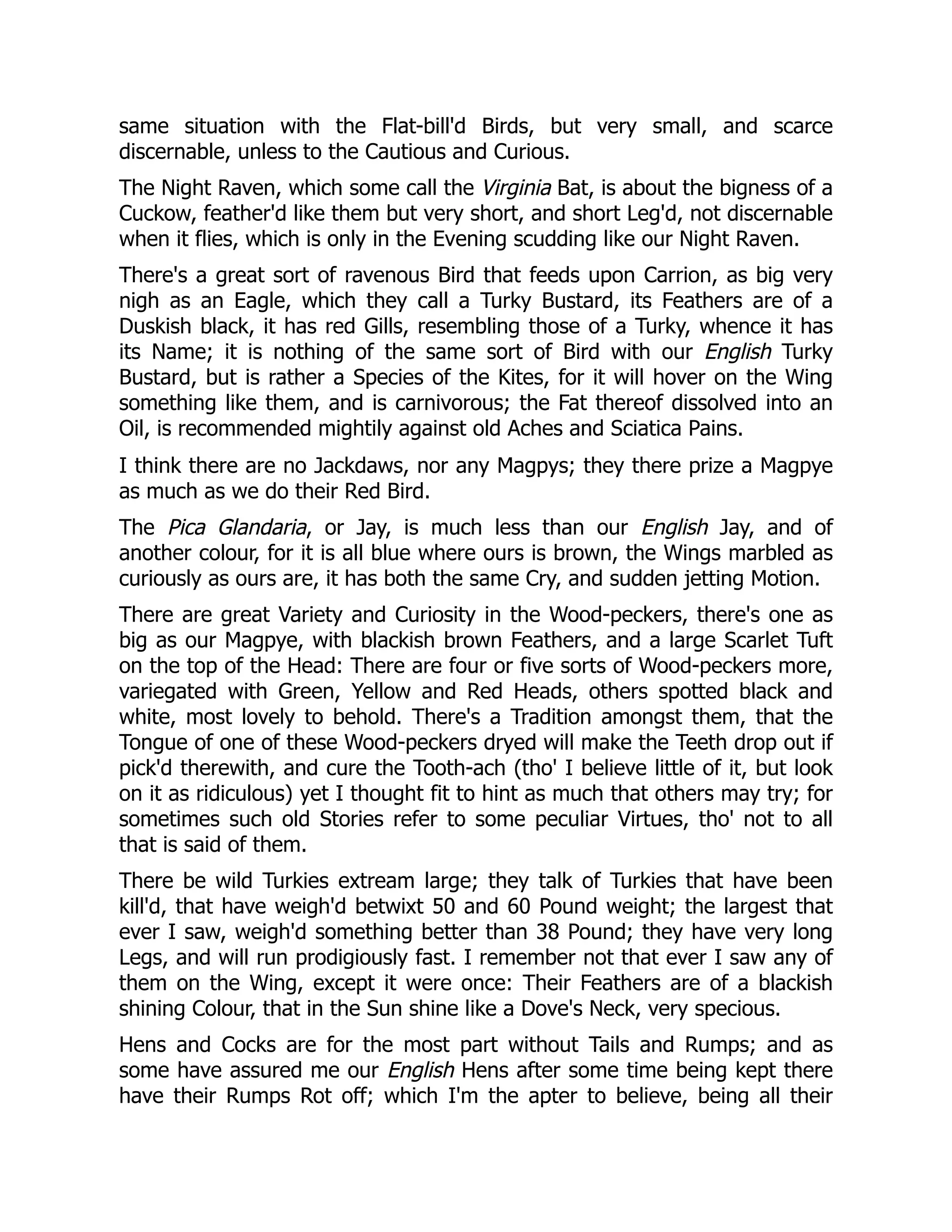 same situation with the Flat-bill'd Birds, but very small, and scarce
discernable, unless to the Cautious and Curious.
The Night Raven, which some call the Virginia Bat, is about the bigness of a
Cuckow, feather'd like them but very short, and short Leg'd, not discernable
when it flies, which is only in the Evening scudding like our Night Raven.
There's a great sort of ravenous Bird that feeds upon Carrion, as big very
nigh as an Eagle, which they call a Turky Bustard, its Feathers are of a
Duskish black, it has red Gills, resembling those of a Turky, whence it has
its Name; it is nothing of the same sort of Bird with our English Turky
Bustard, but is rather a Species of the Kites, for it will hover on the Wing
something like them, and is carnivorous; the Fat thereof dissolved into an
Oil, is recommended mightily against old Aches and Sciatica Pains.
I think there are no Jackdaws, nor any Magpys; they there prize a Magpye
as much as we do their Red Bird.
The Pica Glandaria, or Jay, is much less than our English Jay, and of
another colour, for it is all blue where ours is brown, the Wings marbled as
curiously as ours are, it has both the same Cry, and sudden jetting Motion.
There are great Variety and Curiosity in the Wood-peckers, there's one as
big as our Magpye, with blackish brown Feathers, and a large Scarlet Tuft
on the top of the Head: There are four or five sorts of Wood-peckers more,
variegated with Green, Yellow and Red Heads, others spotted black and
white, most lovely to behold. There's a Tradition amongst them, that the
Tongue of one of these Wood-peckers dryed will make the Teeth drop out if
pick'd therewith, and cure the Tooth-ach (tho' I believe little of it, but look
on it as ridiculous) yet I thought fit to hint as much that others may try; for
sometimes such old Stories refer to some peculiar Virtues, tho' not to all
that is said of them.
There be wild Turkies extream large; they talk of Turkies that have been
kill'd, that have weigh'd betwixt 50 and 60 Pound weight; the largest that
ever I saw, weigh'd something better than 38 Pound; they have very long
Legs, and will run prodigiously fast. I remember not that ever I saw any of
them on the Wing, except it were once: Their Feathers are of a blackish
shining Colour, that in the Sun shine like a Dove's Neck, very specious.
Hens and Cocks are for the most part without Tails and Rumps; and as
some have assured me our English Hens after some time being kept there
have their Rumps Rot off; which I'm the apter to believe, being all their
 