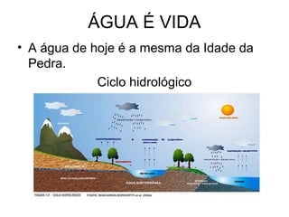 ÁGUA É VIDA
• A água de hoje é a mesma da Idade da
Pedra.
Ciclo hidrológico
 