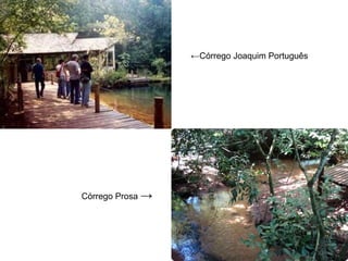 Córrego Prosa →
←Córrego Joaquim Português
 