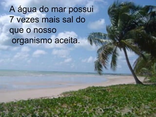 A água do mar possui
7 vezes mais sal do
que o nosso
organismo aceita.
 