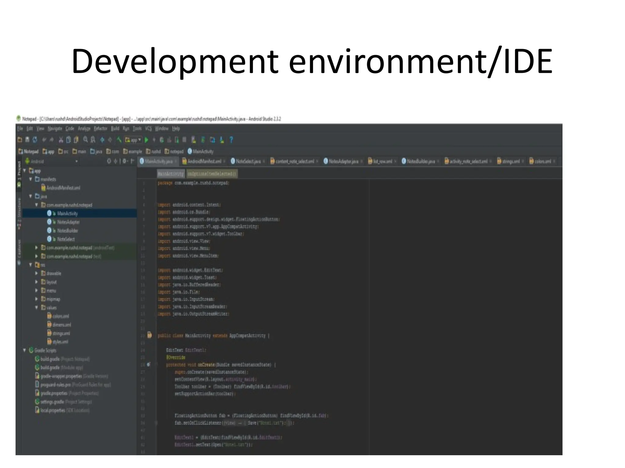 Development environment/IDE
 
