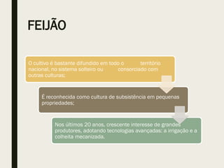 FEIJÃO
O cultivo é bastante difundido em todo o território
nacional, no sistema solteiro ou consorciado com
outras culturas;
É reconhecida como cultura de subsistência em pequenas
propriedades;
Nos últimos 20 anos, crescente interesse de grandes
produtores, adotando tecnologias avançadas: a irrigação e a
colheita mecanizada.
 