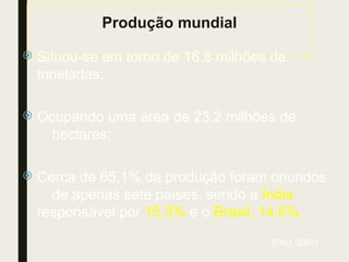Produção mundial
 Situou-se em torno de 16,8 milhões de
toneladas;
 Ocupando uma área de 23,2 milhões de
hectares;
 Cerca de 65,1% da produção foram oriundos
de apenas sete países, sendo a Índia
responsável por 15,3% e o Brasil, 14,6%.
(FAO, 2001)
 