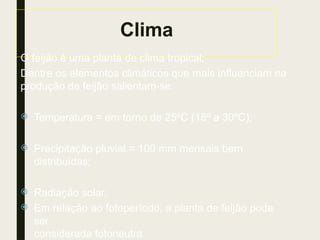 Clima
O feijão é uma planta de clima tropical;
Dentre os elementos climáticos que mais influenciam na
produção de feijão salientam-se:
 Temperatura = em torno de 25ºC (18º a 30ºC);
 Precipitação pluvial = 100 mm mensais bem
distribuídas;
 Radiação solar.
 Em relação ao fotoperíodo, a planta de feijão pode
ser
considerada fotoneutra.
 
