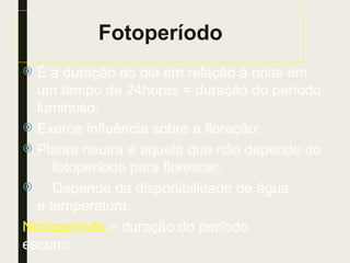 Fotoperíodo
 É a duração do dia em relação à noite em
um tempo de 24horas = duração do período
luminoso;
 Exerce influência sobre a floração;
 Planta neutra é aquela que não depende do
fotoperíodo para florescer;
 Depende da disponibilidade de água
e temperatura.
Nictoperíodo = duração do período
escuro;
 
