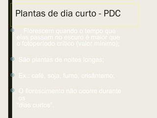 Plantas de dia curto - PDC
 Florescem quando o tempo que
elas passam no escuro é maior que
o fotoperíodo crítico (valor mínimo);
 São plantas de noites longas;
 Ex.: café, soja, fumo, crisântemo;
 O florescimento não ocorre durante
os
“dias curtos”.
 