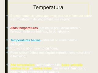 Temperatura
 É o elemento climático que mais exerce influência sobre
a porcentagem de vingamento de vagens;
 Altas temperaturas têm efeito prejudicial sobre o
florescimento e a frutificação do feijoeiro;
 Temperaturas baixas reduzem os rendimentos
de feijão;
 Provoca o abortamento de flores;
 Pode causar falhas nos órgãos reprodutores masculino
e feminino;
 Alta temperatura acompanhada de baixa umidade
relativa do ar e ventos fortes tem maior influência no
pegamento e retenção de vagens.
 