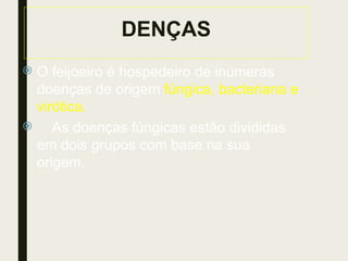 DENÇAS
 O feijoeiro é hospedeiro de inúmeras
doenças de origem fúngica, bacteriana e
virótica.
 As doenças fúngicas estão divididas
em dois grupos com base na sua
origem.
 