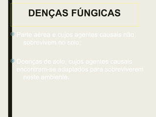 DENÇAS FÚNGICAS
 Parte aérea e cujos agentes causais não
sobrevivem no solo;
 Doenças de solo, cujos agentes causais
encontram-se adaptados para sobreviverem
neste ambiente.
 