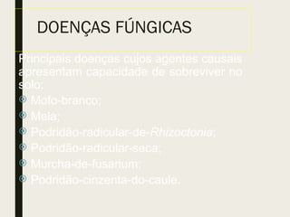 Principais doenças cujos agentes causais
apresentam capacidade de sobreviver no
solo:
 Mofo-branco;
 Mela;
 Podridão-radicular-de-Rhizoctonia;
 Podridão-radicular-seca;
 Murcha-de-fusarium;
 Podridão-cinzenta-do-caule.
DOENÇAS FÚNGICAS
 