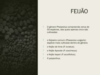 FEIJÃO
 O gênero Phaseolus compreende cerca de
55 espécies, das quais apenas cinco são
cultivadas:
 o feijoeiro comum (Phaseolus vulgaris):
espécie mais cultivada dentro do gênero;
 o feijão de lima (P. lunatus);
 o feijão Ayocote (P. coccineus);
 o feijão tepari (P. acutifolius);
 P. polyanthus.
 